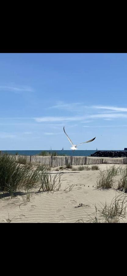 Primavera Cap Lägenhet Agde Exteriör bild